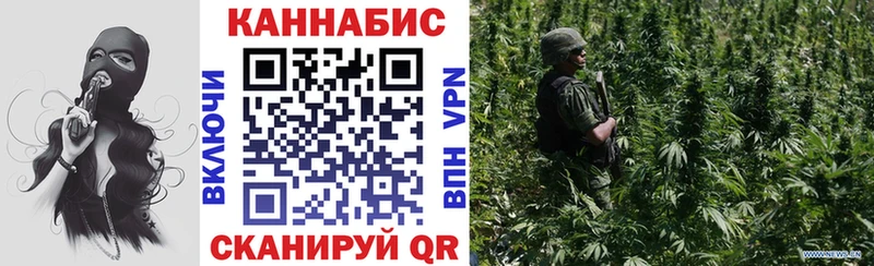 дарнет шоп  Сосновка  МАРИХУАНА планчик 